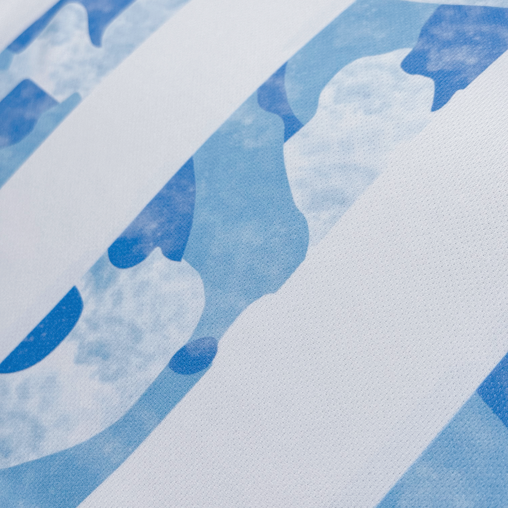 Argentina 2021 Local