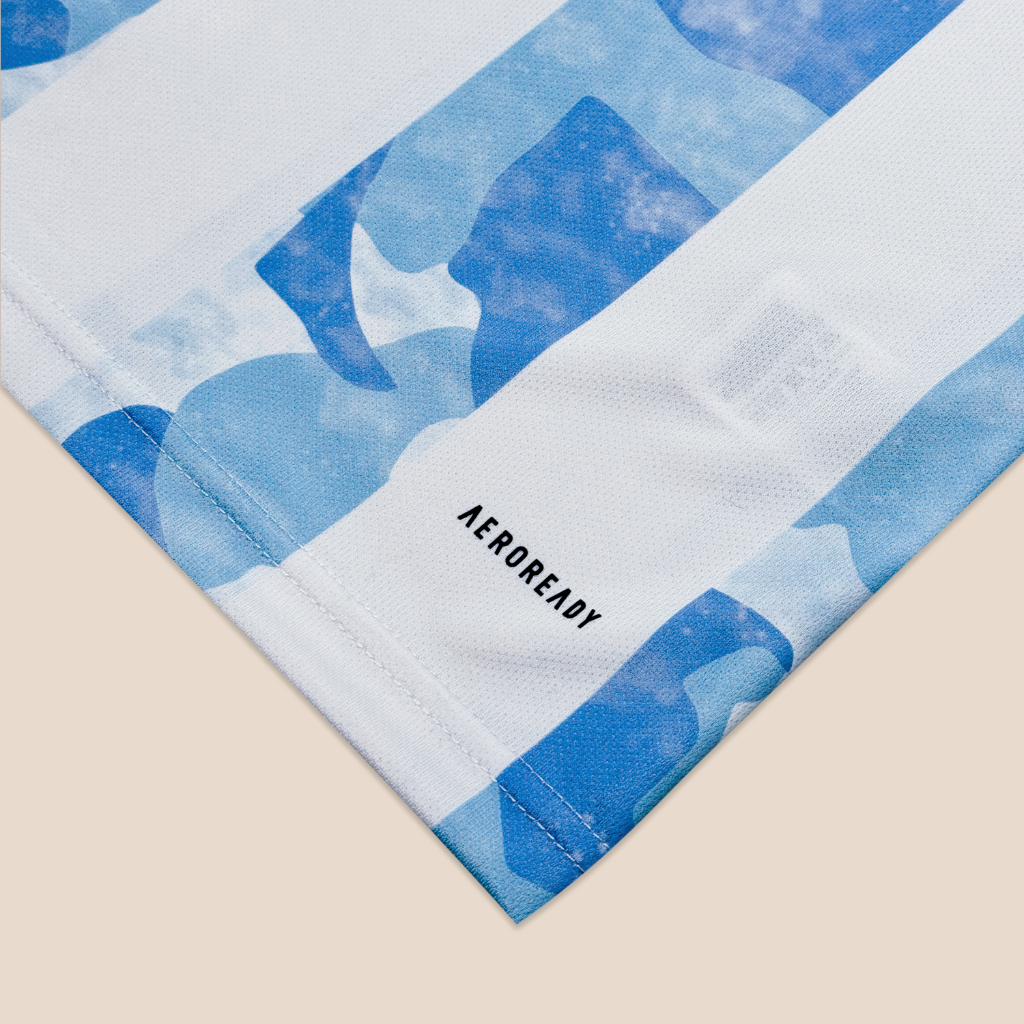 Argentina 2021 Local