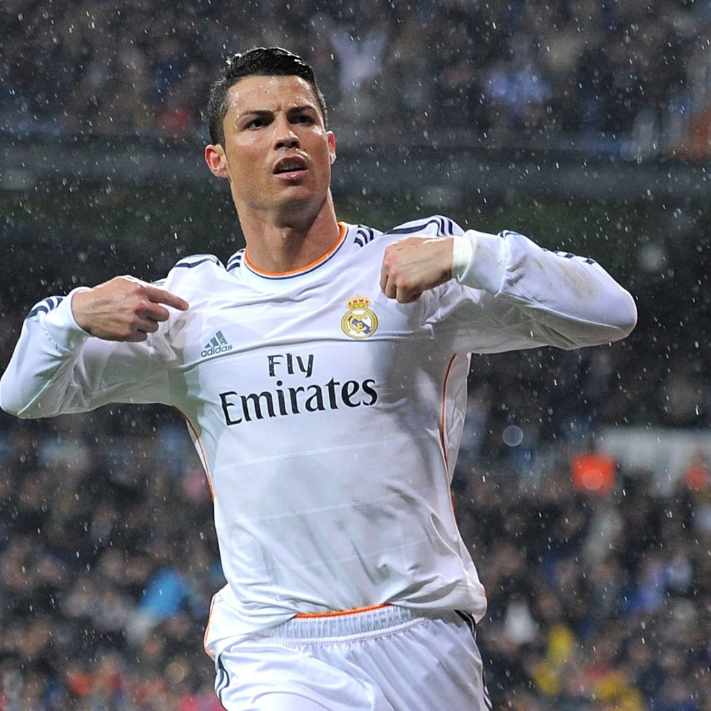 Real Madrid 2013/14 Local