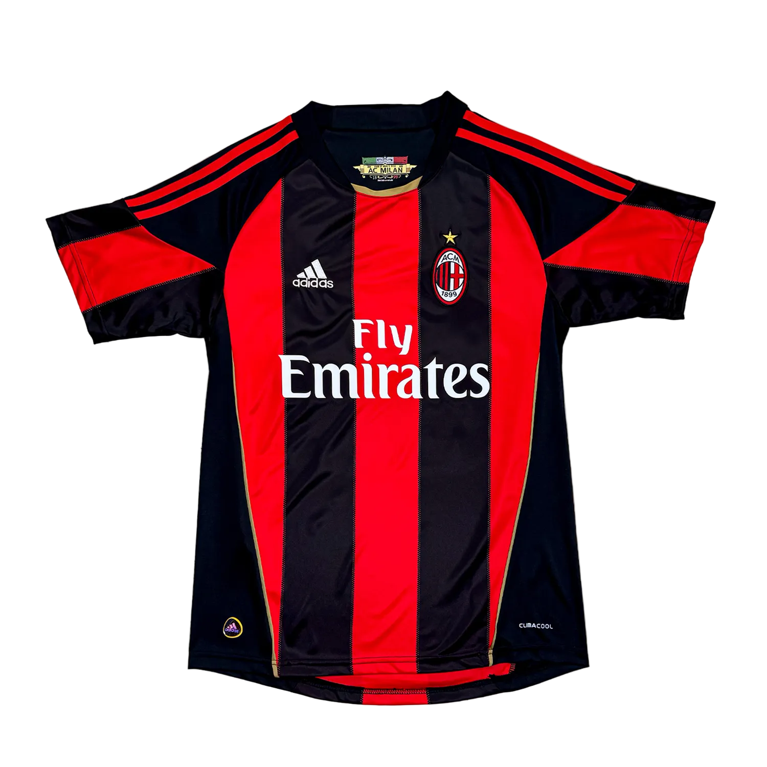 AC Milan 2010/11 Local