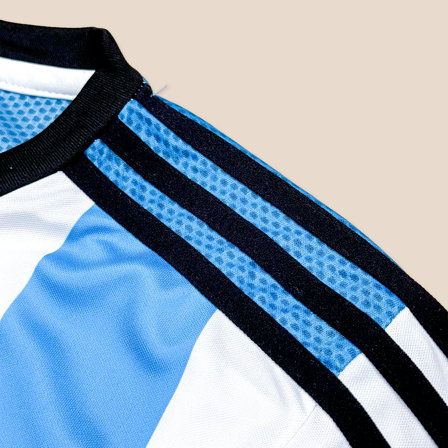 Argentina 2014 Local