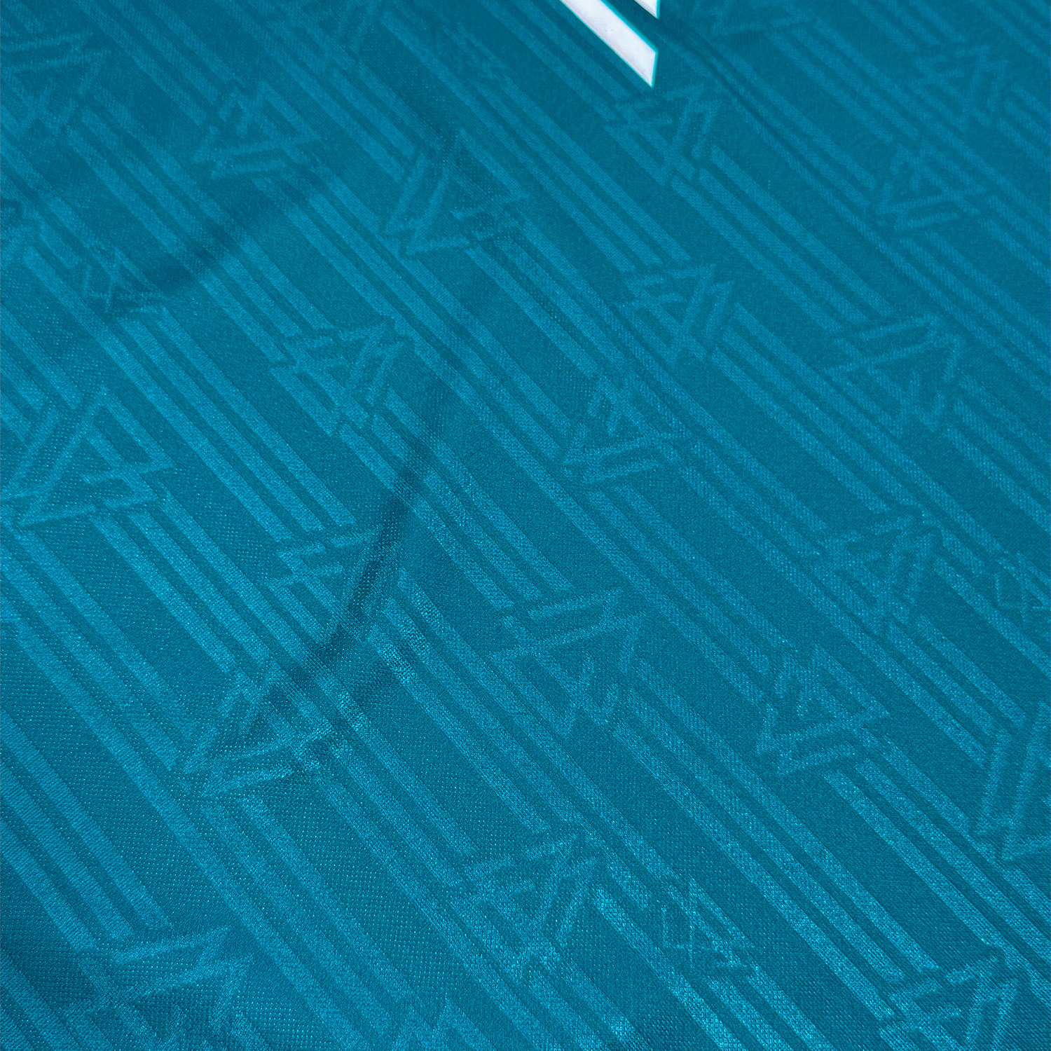 Alemania 1996 Visitante