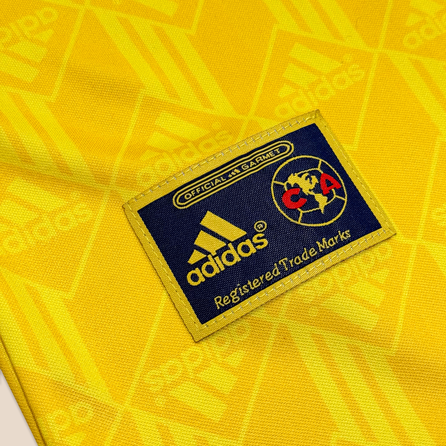 América 1998/99 Local